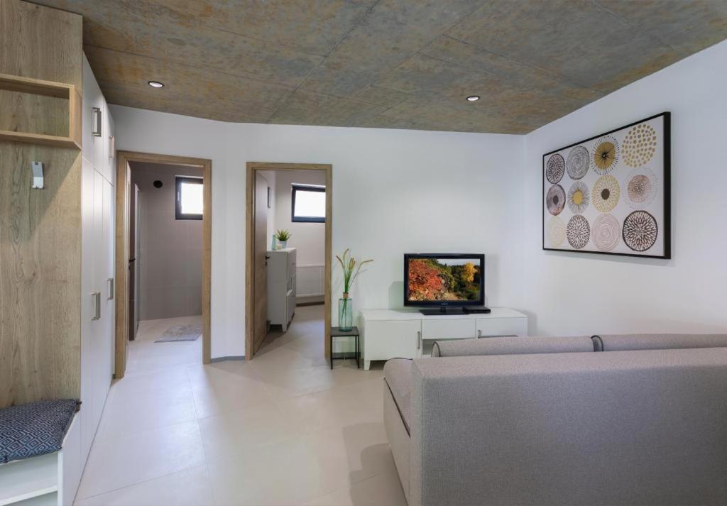 Nerudovka Apartment كارلوفي فاري المظهر الخارجي الصورة